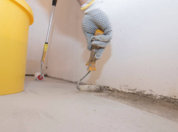 Best Fumigation Services  in Union City, OK